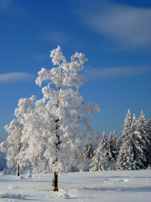 Ideen für kuschelige Winterabende zu Hause