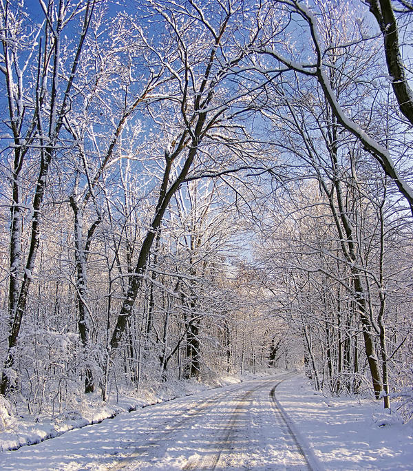 Der neuste Trend für den Winter: Camping im Schnee